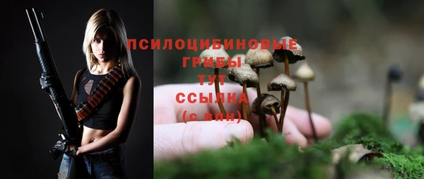 гашишное масло Заводоуковск
